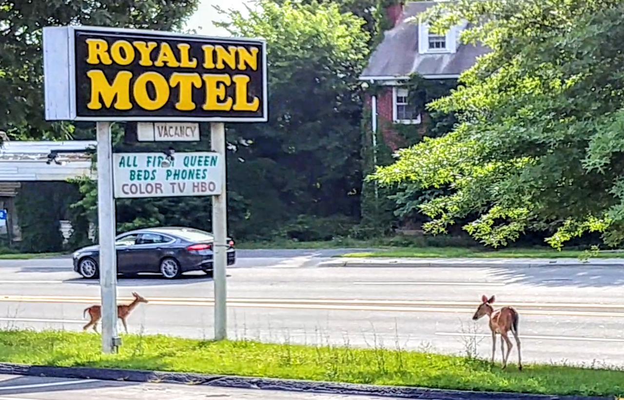 Royal Inn Motel Front Royal Luaran gambar